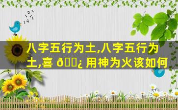 八字五行为土,八字五行为土,喜 🌿 用神为火该如何
